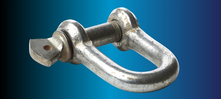 Bow Shackle - Alpha